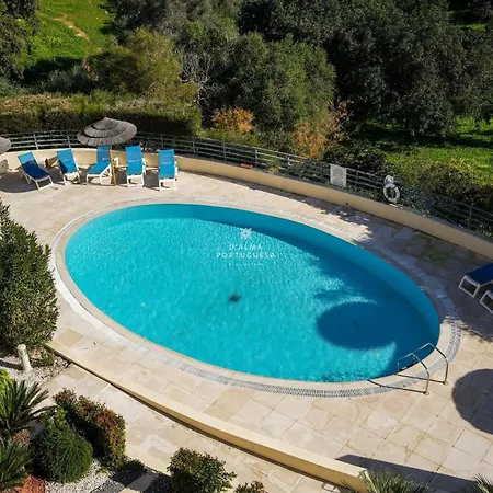 Panoramico - By Dalma Portuguesa